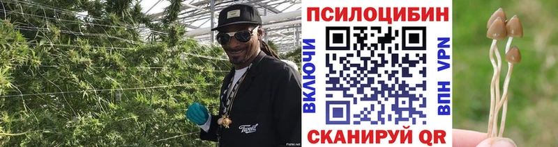Галлюциногенные грибы мухоморы  дарнет шоп  Шиханы 